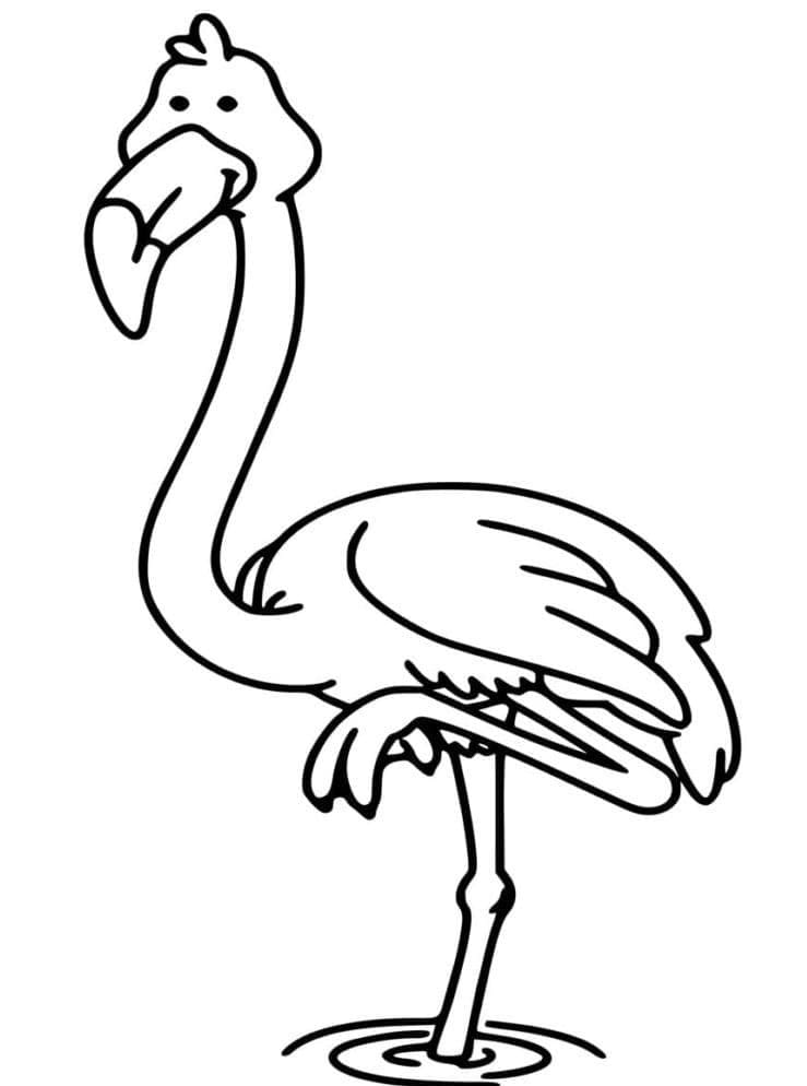 Flamingo gyerekeknek