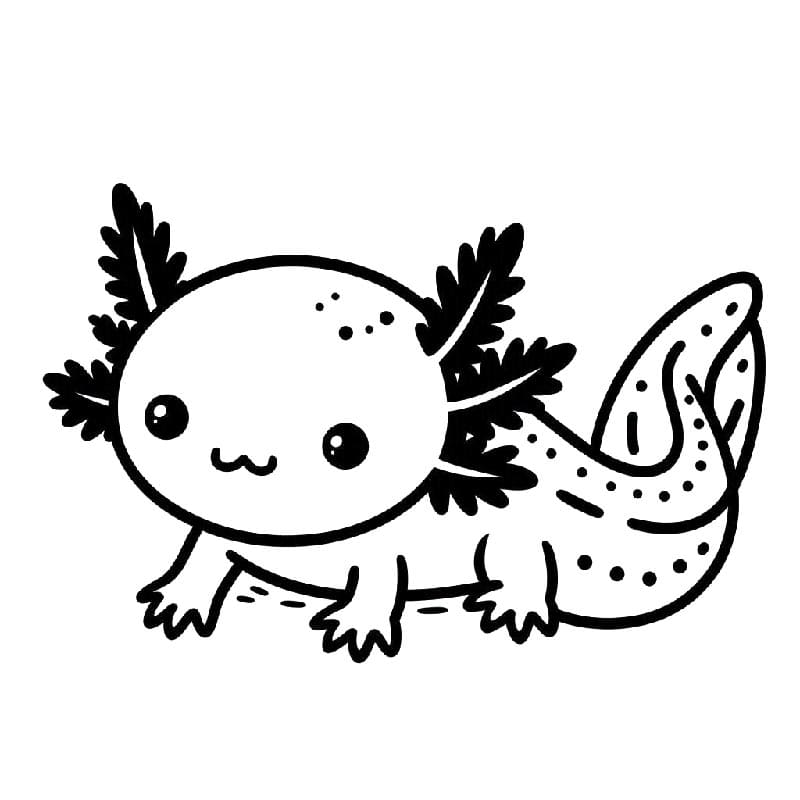 Aranyos axolotl