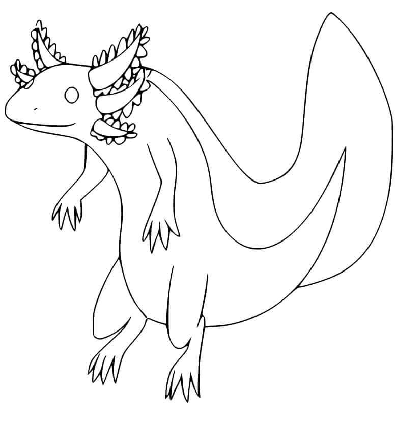 Axolotl (1)