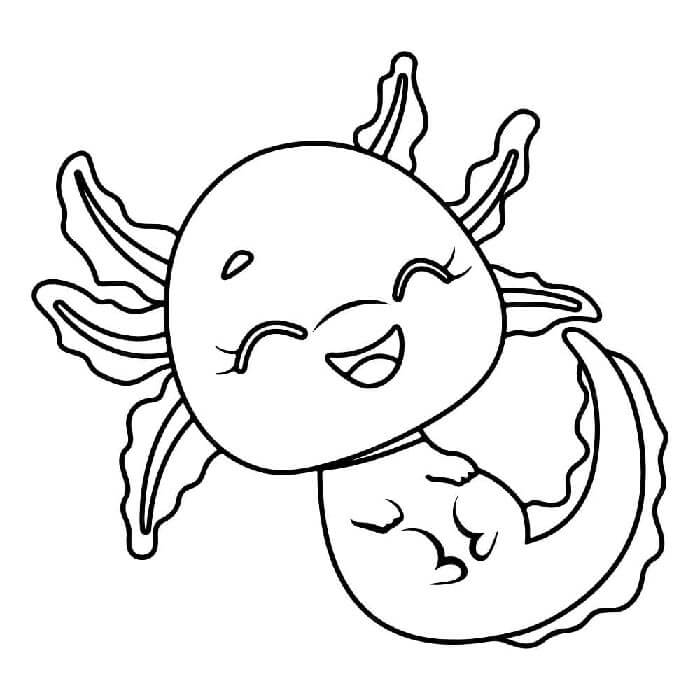Axolotl (10)