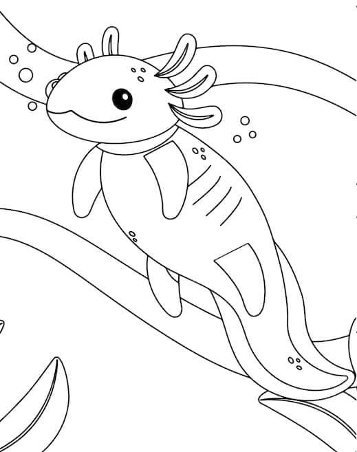 Axolotl (2)