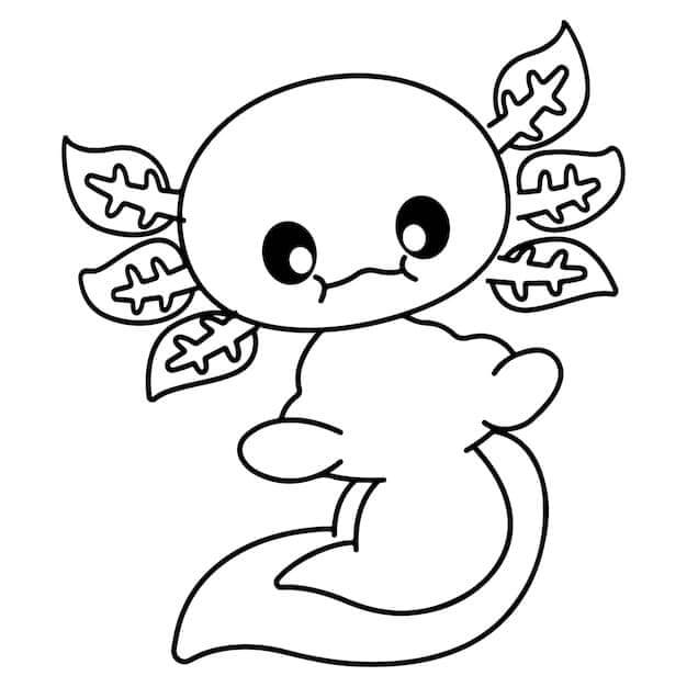 Axolotl (4)