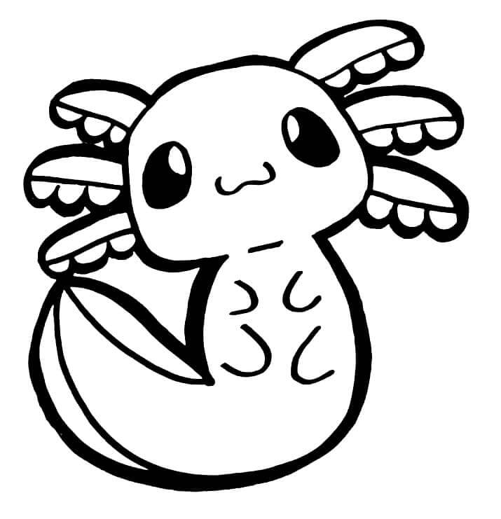 Axolotl (5)