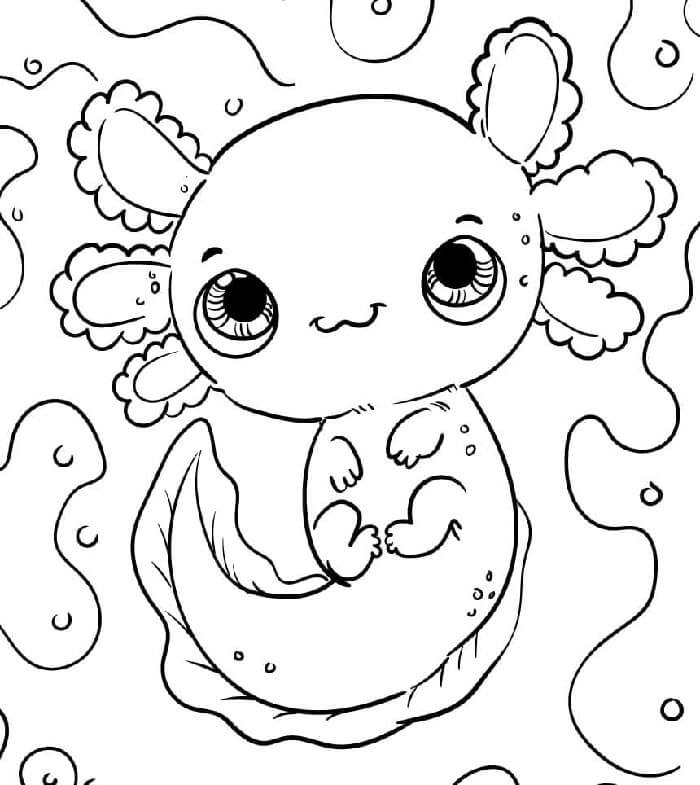 Axolotl (8)