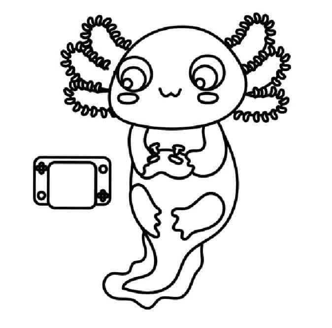Axolotl (9)