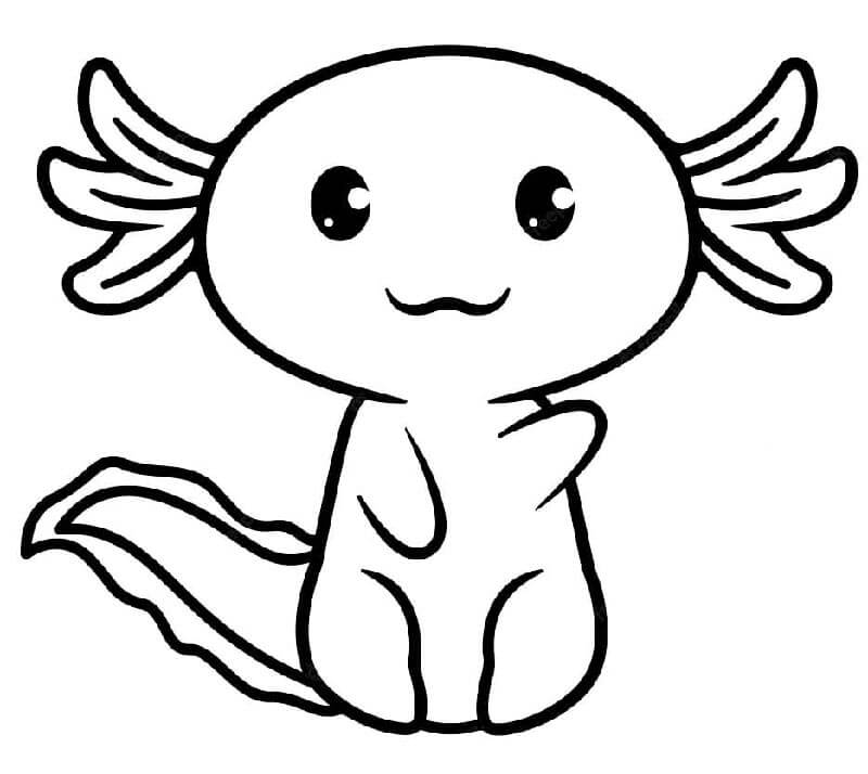 Axolotl gyerekeknek