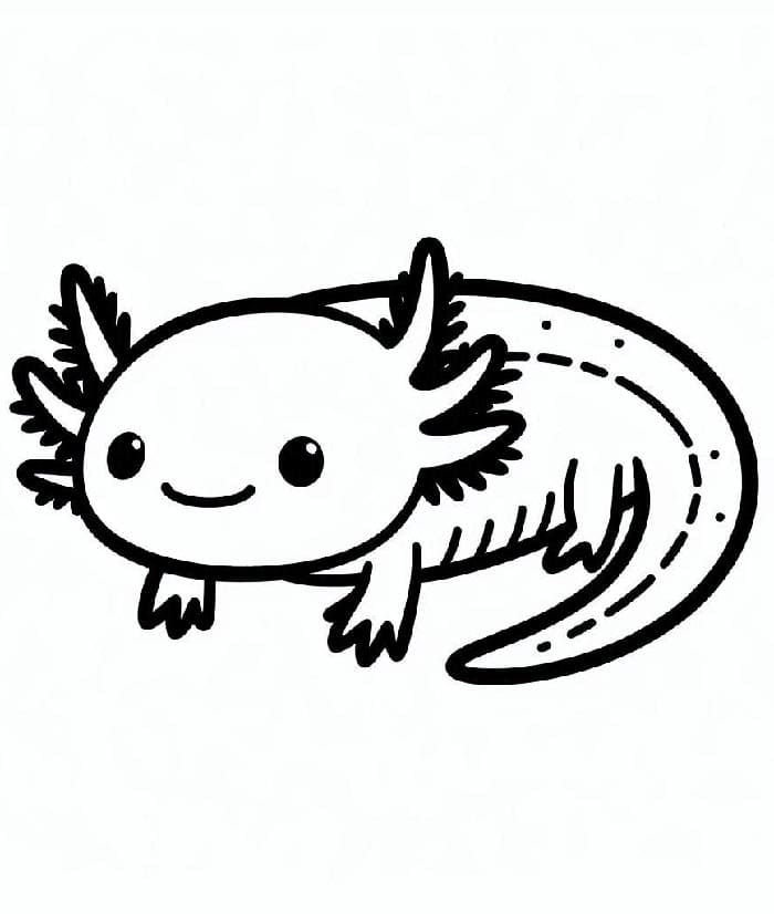 Axolotl nyomtatása