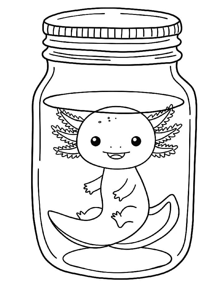 Bébi axolotl