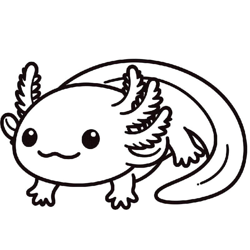 Egy aranyos axolotl