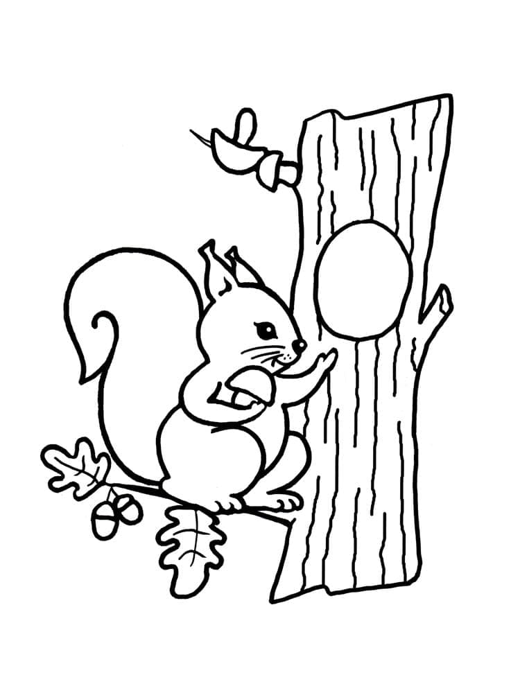 Egy aranyos mókus