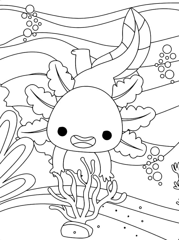 Egy axolotl