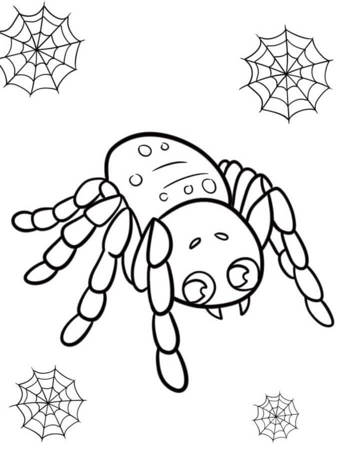 Egy nagyon aranyos pók