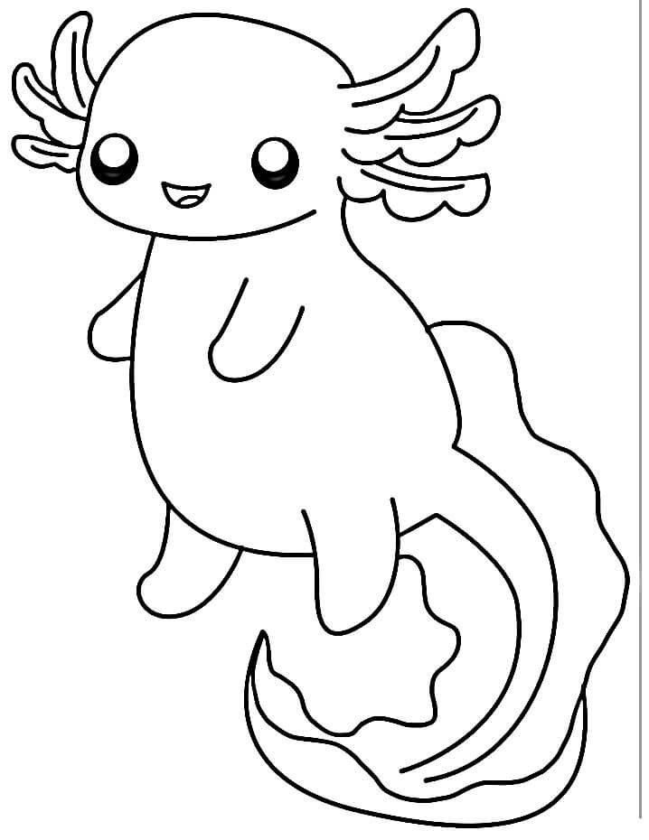 Egyszerű axolotl