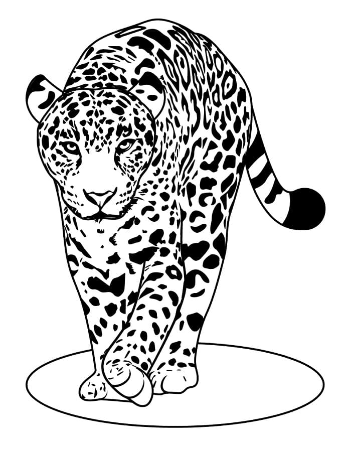 Félelmetes leopárd