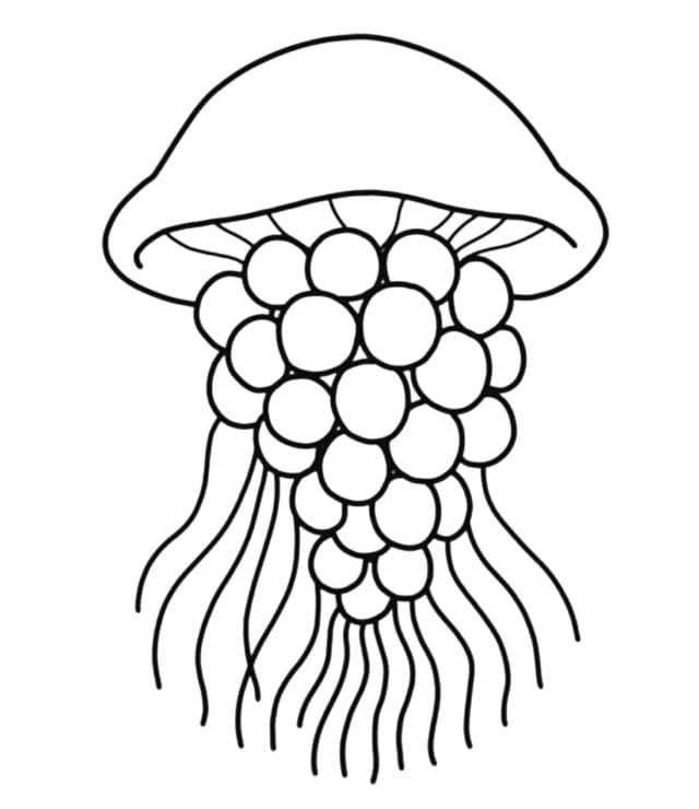 Graipussi Medussi Brainrot