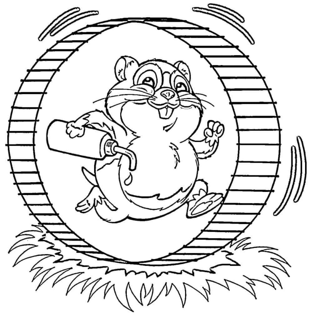 Hörcsög (9)