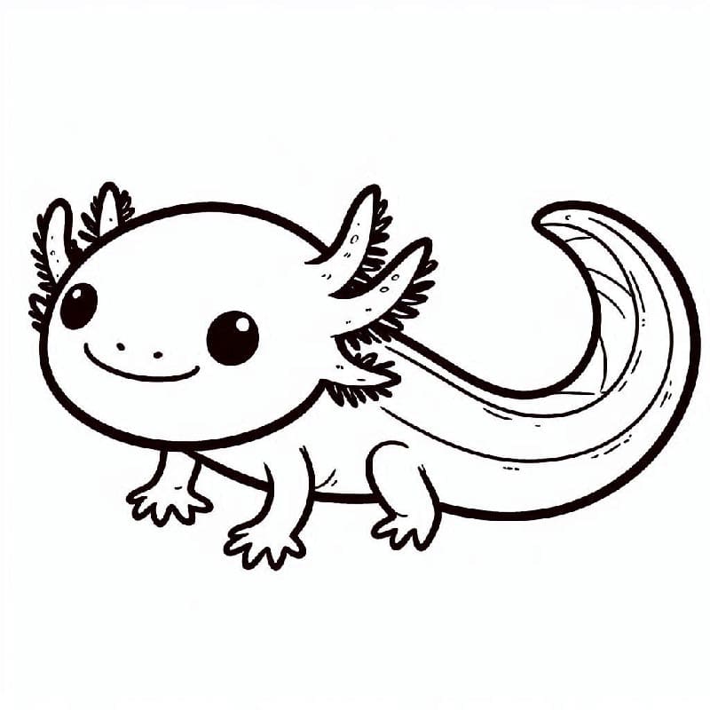 Ingyenes nyomtatható axolotl