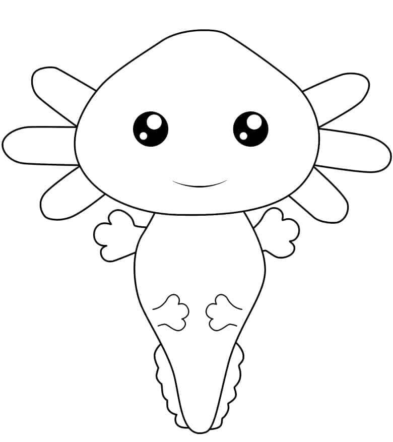Kiszínezhető axolotl
