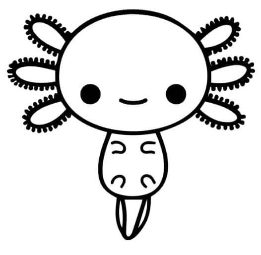 Könnyű axolotl