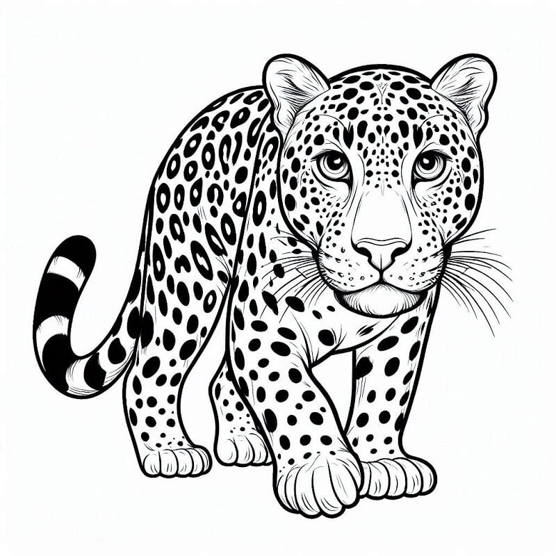 Leopárd 3