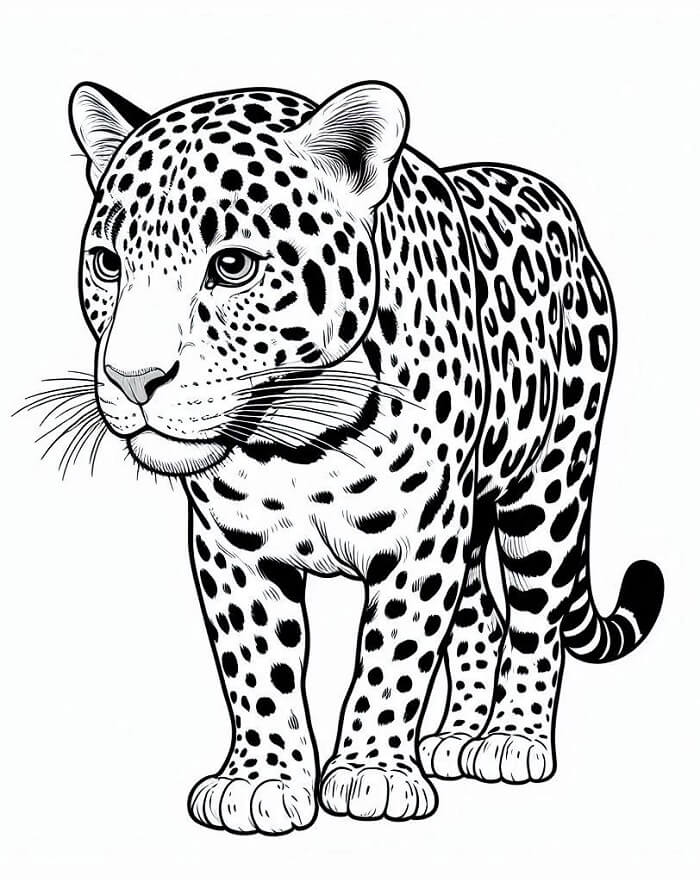 Leopárd 4