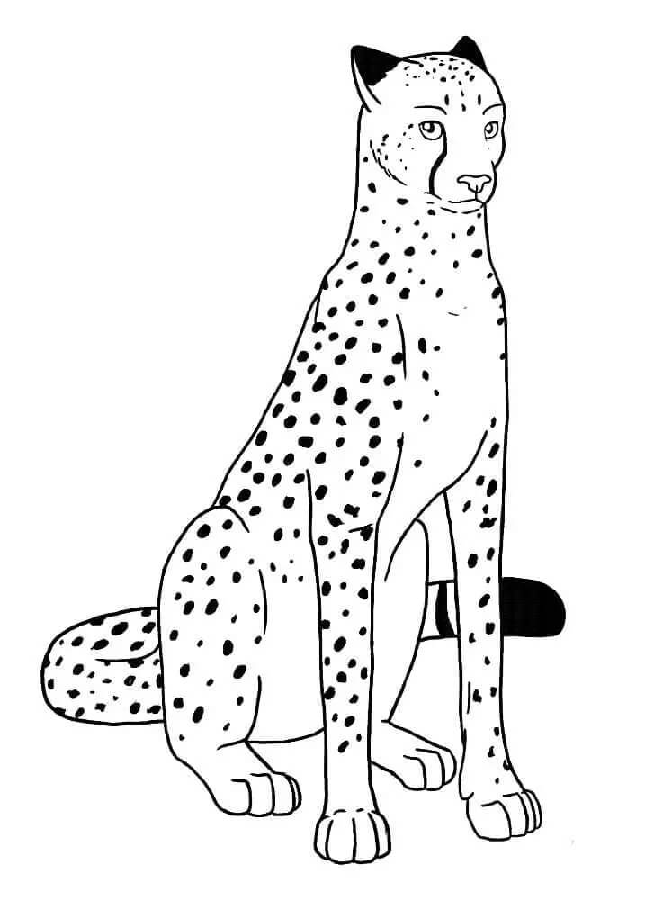 Leopárdmentes