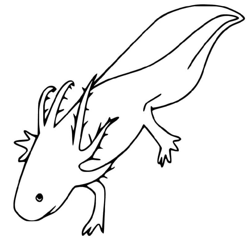 Nagyon aranyos axolotl