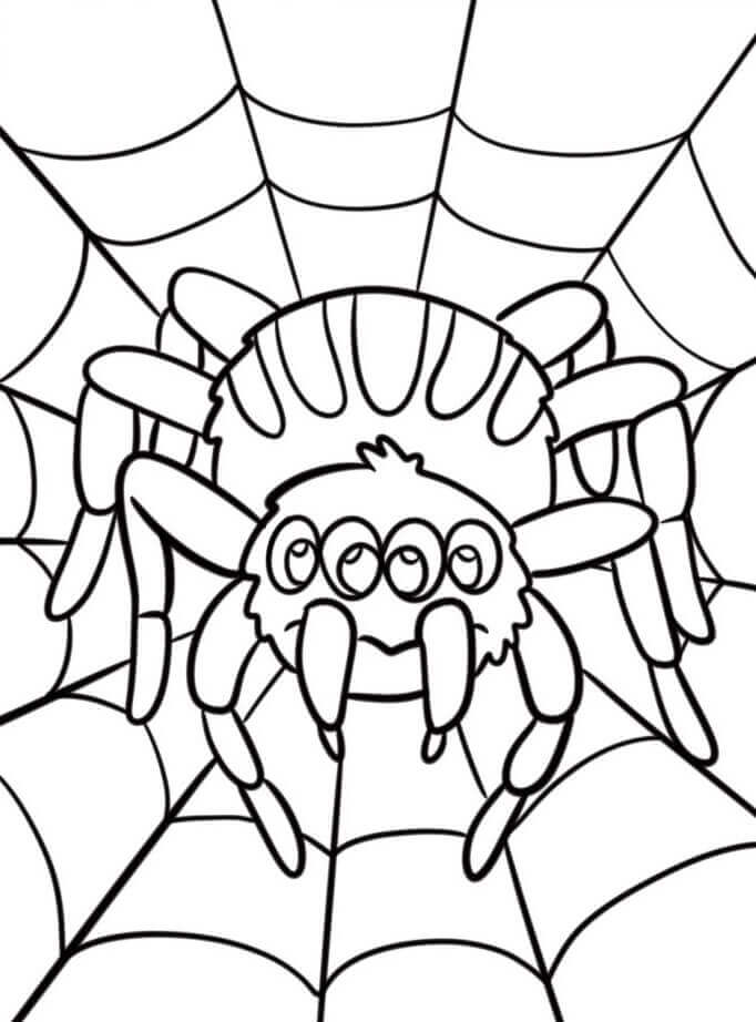 Nagyon aranyos pók