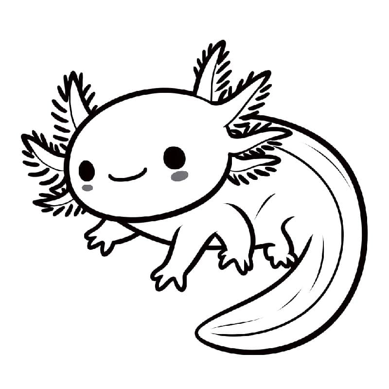Nyomtatható axolotl