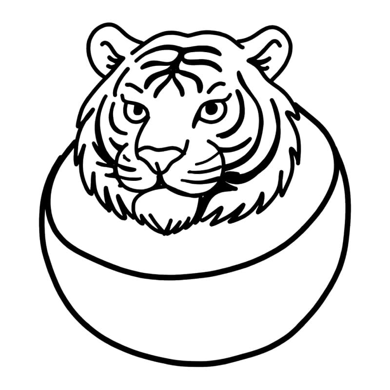 Tigrrullini Watermellini Brainrot