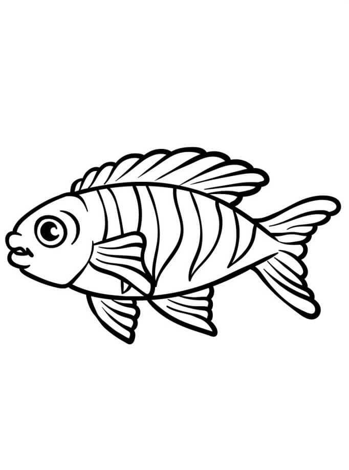Mosolygó hal