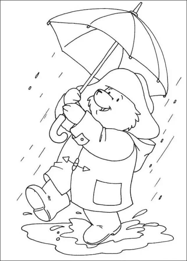 Paddington (1)