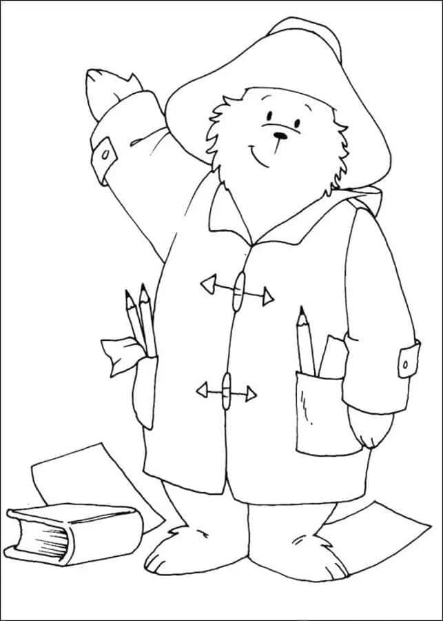 Paddington (3)