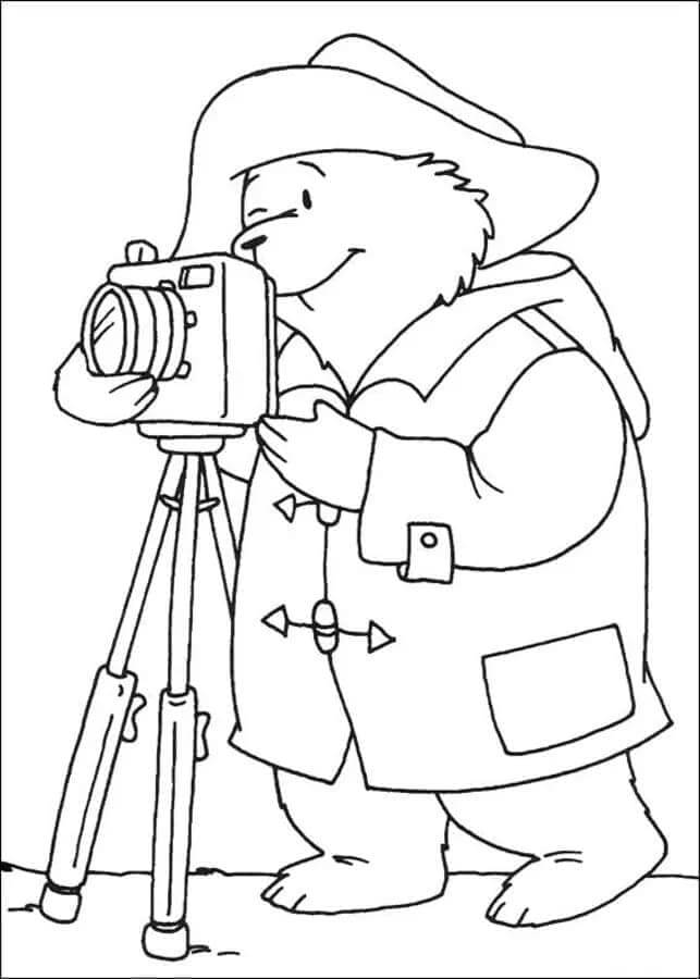 Paddington (7)
