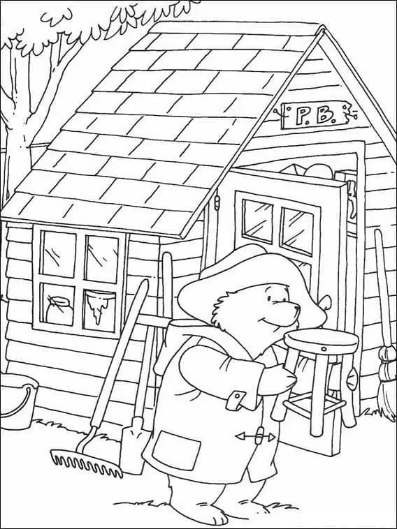 Paddington (8)