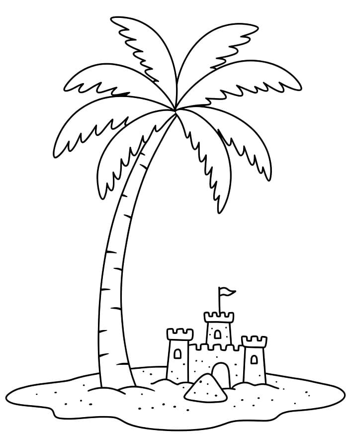 Pálmafa (2)