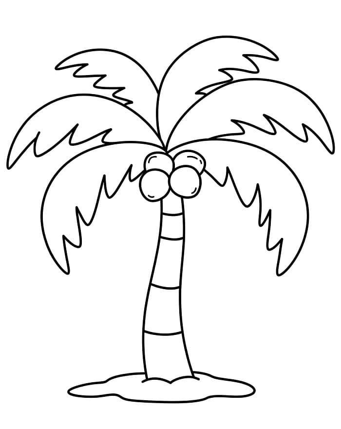 Pálmafa (4)