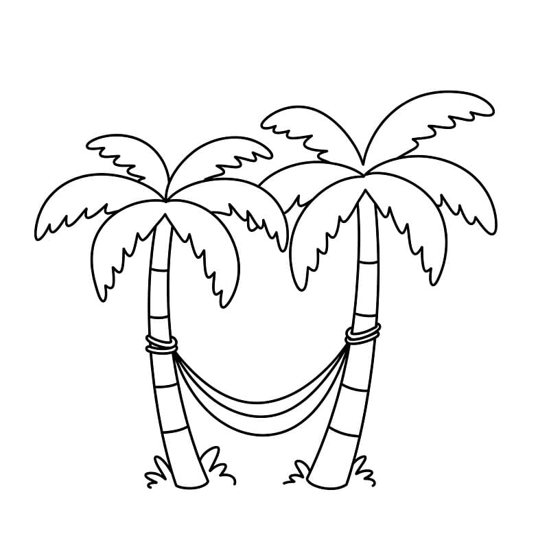 Pálmafa (5)