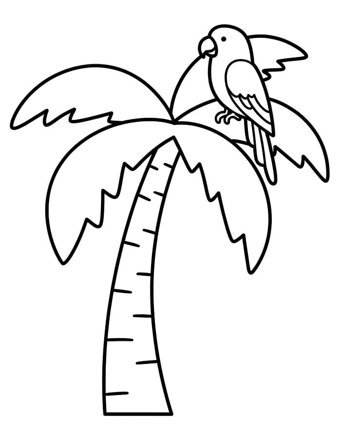 Pálmafa (7)