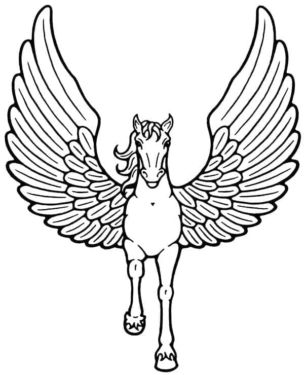 Pegazus (1)