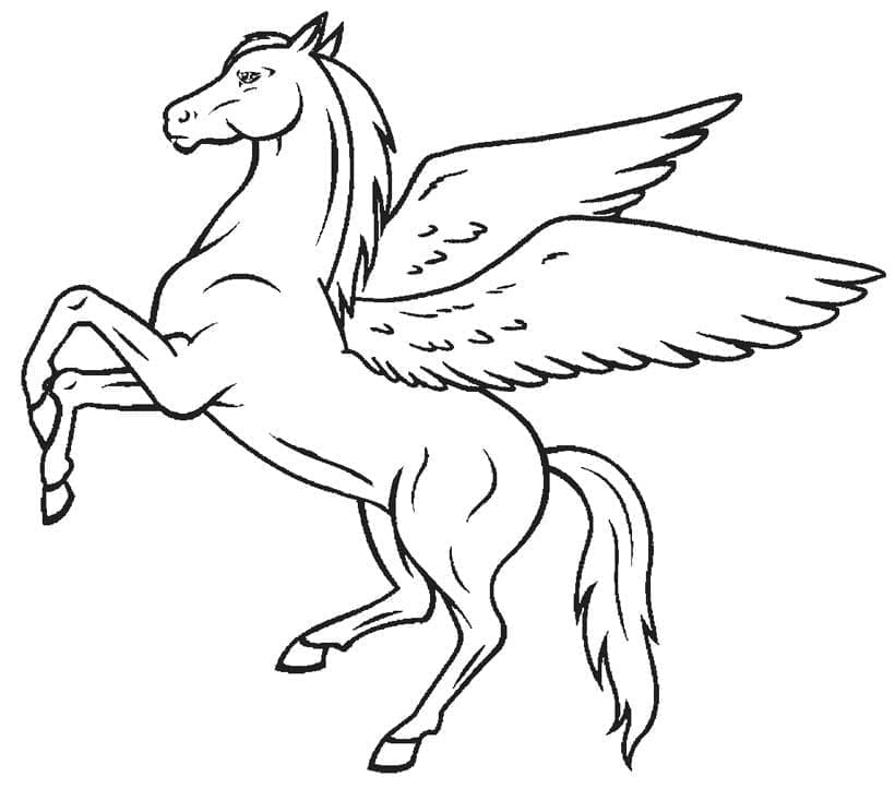 Pegazus (2)