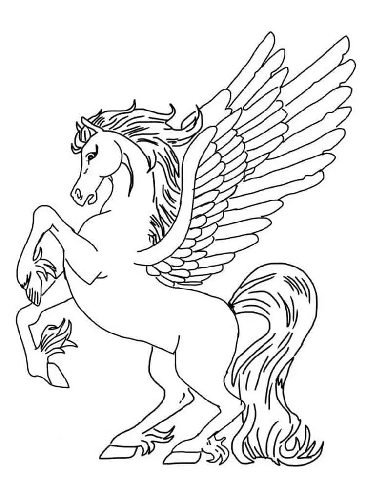 Pegazus (3)