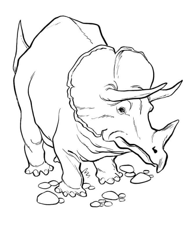 Cuki Triceratopsz