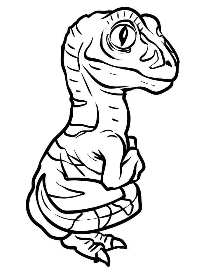 Egy Velociraptor