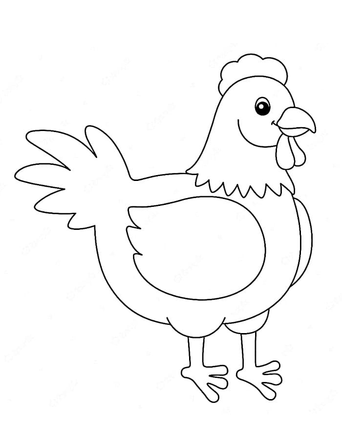 Gyönyörű Tyúk
