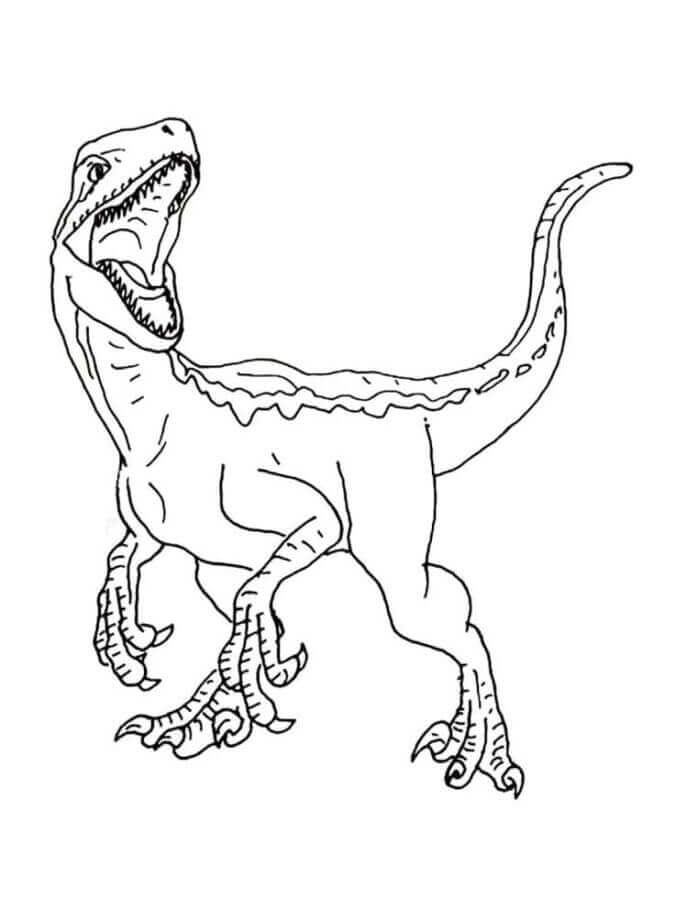 Ingyenes Velociraptor Nyomtatáshoz