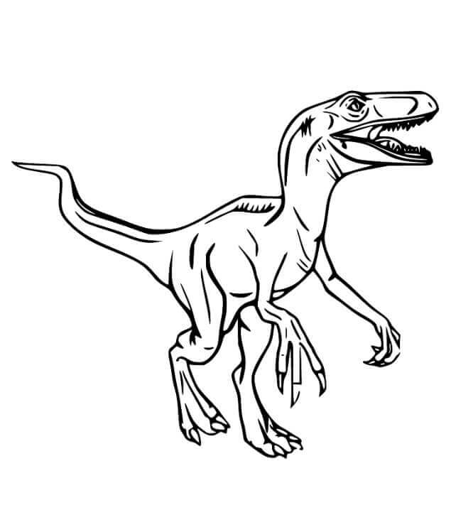 Ingyenes Velociraptor