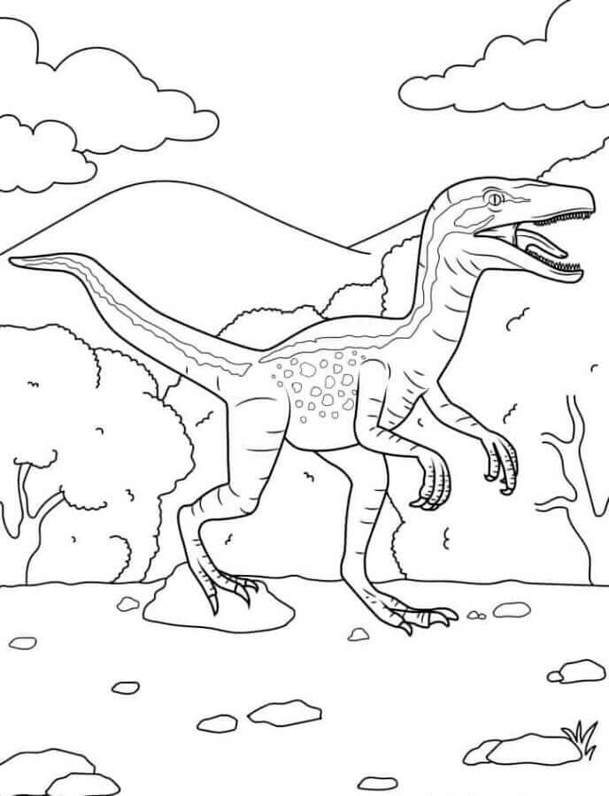 Nyomtatható Velociraptor Kép