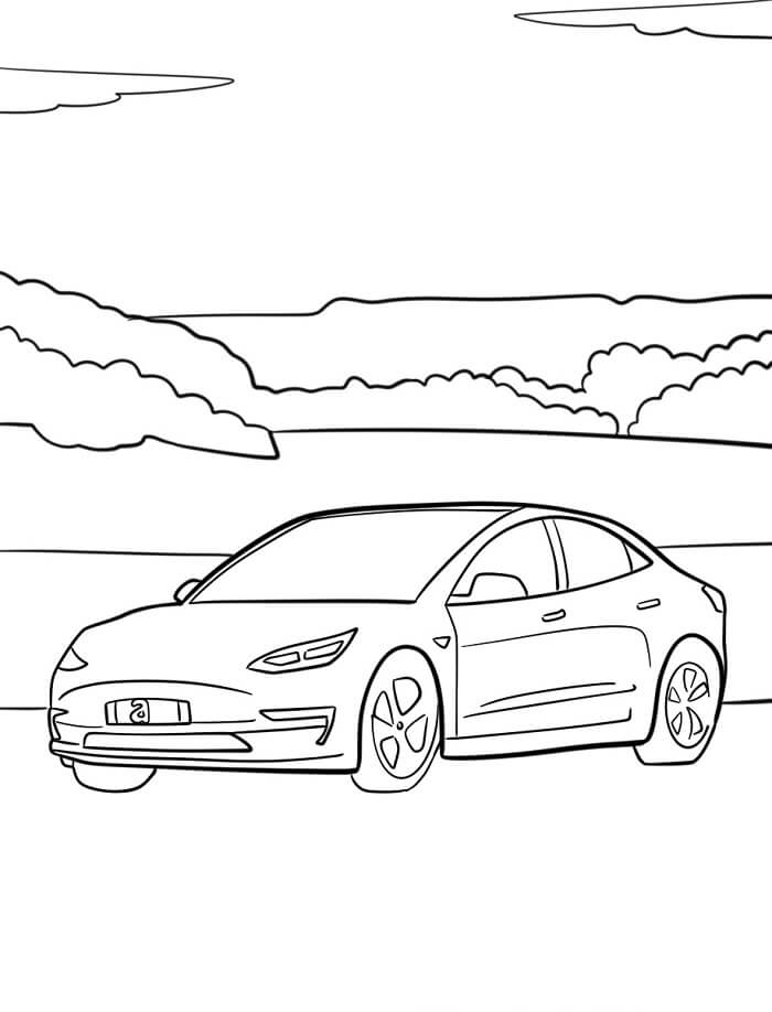 Tesla (3)