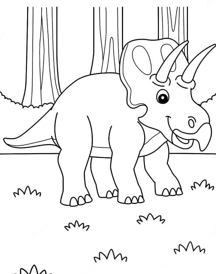 Triceratops (5)